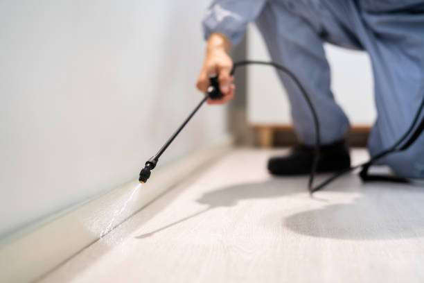 Bed Bug Pre-Treatment Preparation Assessment in Pine Grove