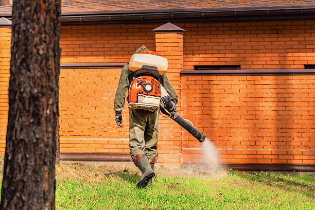 Bed Bug Clearance Verification and Documentation in Pine Grove